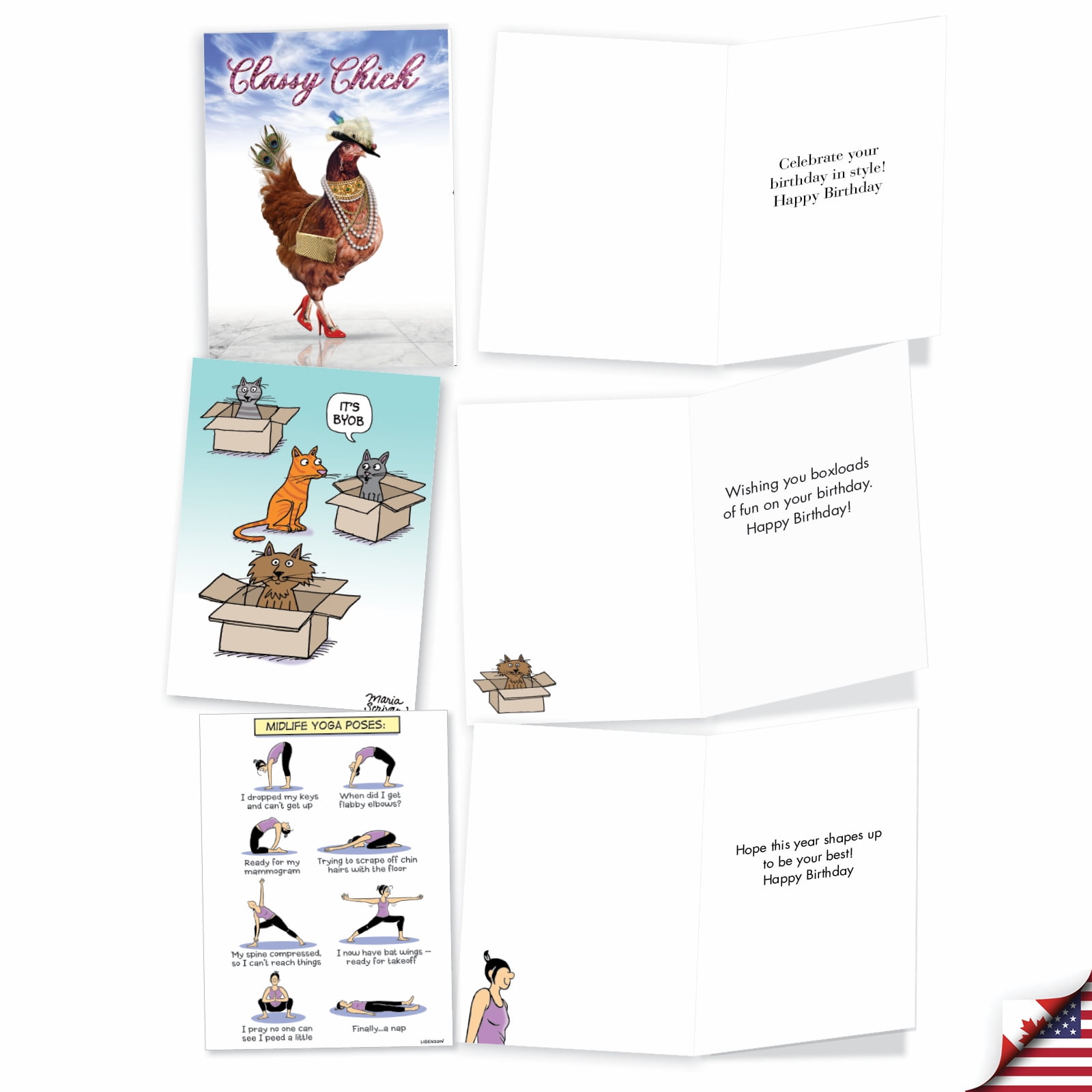 NobleWorks 20 Assorted Box Set Funny Birthday Greeting Cards w/5 x 7 Inch Envelopes (10 Designs, 2 Each) Bday Best Birthday Wishes AC8838BDG-B2x10