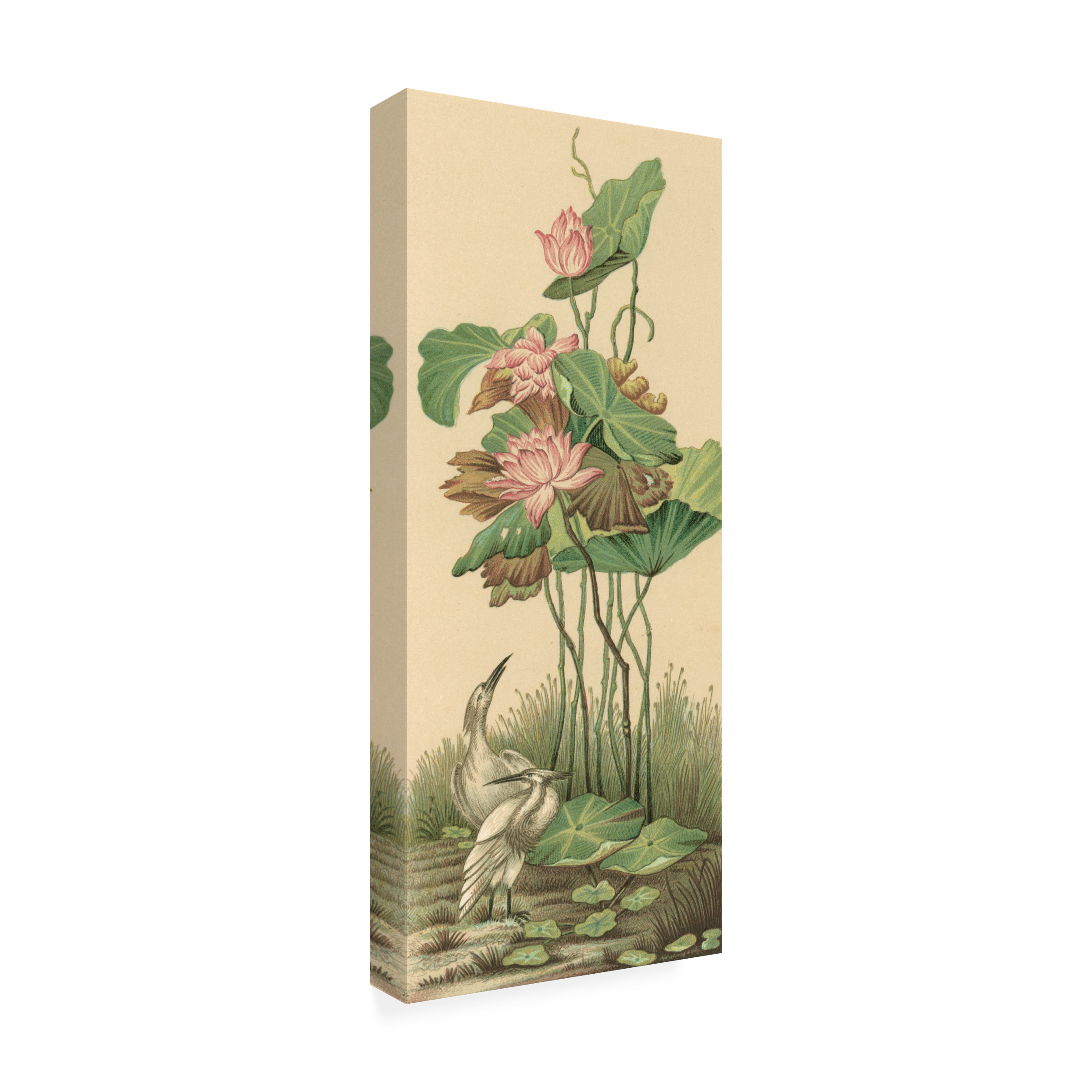 Trademark Fine Art Racinet Crane And Lotus Panel I Canvas Wall Art - 14x32