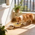 thumbnail image 6 of Automatic Floating Water Bowl for Cats and Dogs with 1500ml Spill Proof Slow Water Feeder, Keeps Pet Beard and Chin Dry, Easy to Clean Plastic Pet Water Dish for Small to Medium Pets, 6 of 6