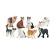 thumbnail image 5 of Figuras de gato , adorno realista, figuras de acción detalladas, adornos de escritorio, juguetes de animales en miniatura pequeños, figuras de, 5 of 9