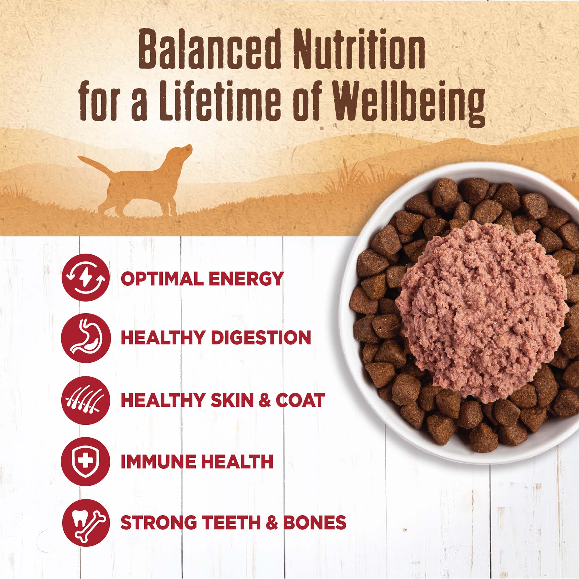 Wellness 95% Beef Natural Wet Grain Free Canned Dog Food, 13.2-Ounce Can (Pack of 12) - image 2 of 8