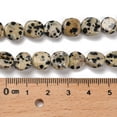 thumbnail image 5 of Natural Dalmatian Jasper Beads Strands Tumbled Stone 7~13x4.5~10x4.5~10mm Hole: 1.2mm 44~46pcs/strand 15.08~16.14 inch(38.3~41cm) diy, 5 of 5