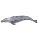 thumbnail image 5 of Vida en el Mar, Animales Oceánicos Modelo de Ballenas Grises Modelo de Ballena Modelo de Ballenas Figura de Ballena Figuras de Animales de Mar Para Juguetes de Juego y Juego de, 5 of 7
