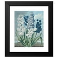 thumbnail image 2 of Thomas Warner 12x14 Black Modern Framed Museum Art Print Titled - Hyacinths (1801), 2 of 5