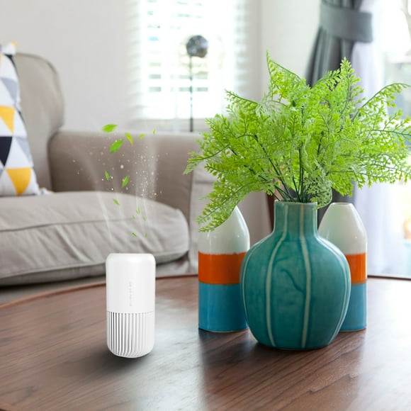 Desinfección del purificador de aire para eliminar el olor peculiar del humo de dehído formal Wmkox8yii FSASFJB1305