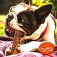 thumbnail image 6 of Canine Natural Hide Free 7" Peanut Butter Large Roll 5Pk, 6 of 8