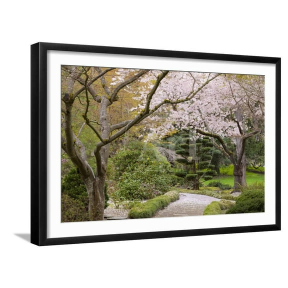 Spring Scenic in Lithia Park, Ashland, Oregon, USA, Botanical Scenic Seasons Framed Art Print Wall Art by Jaynes Gallery Sold by Art.Com