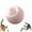 Pink-A, variant on Interactive Cat Toy Ball, 2025 Upgraded Cat Toys for Bored Indoor Adult Cats, Automatic Moving Interactive Dog Toy, Self Rolling Peppy Pet Ball for Cats Kittens Toys (2 Pcs-A)