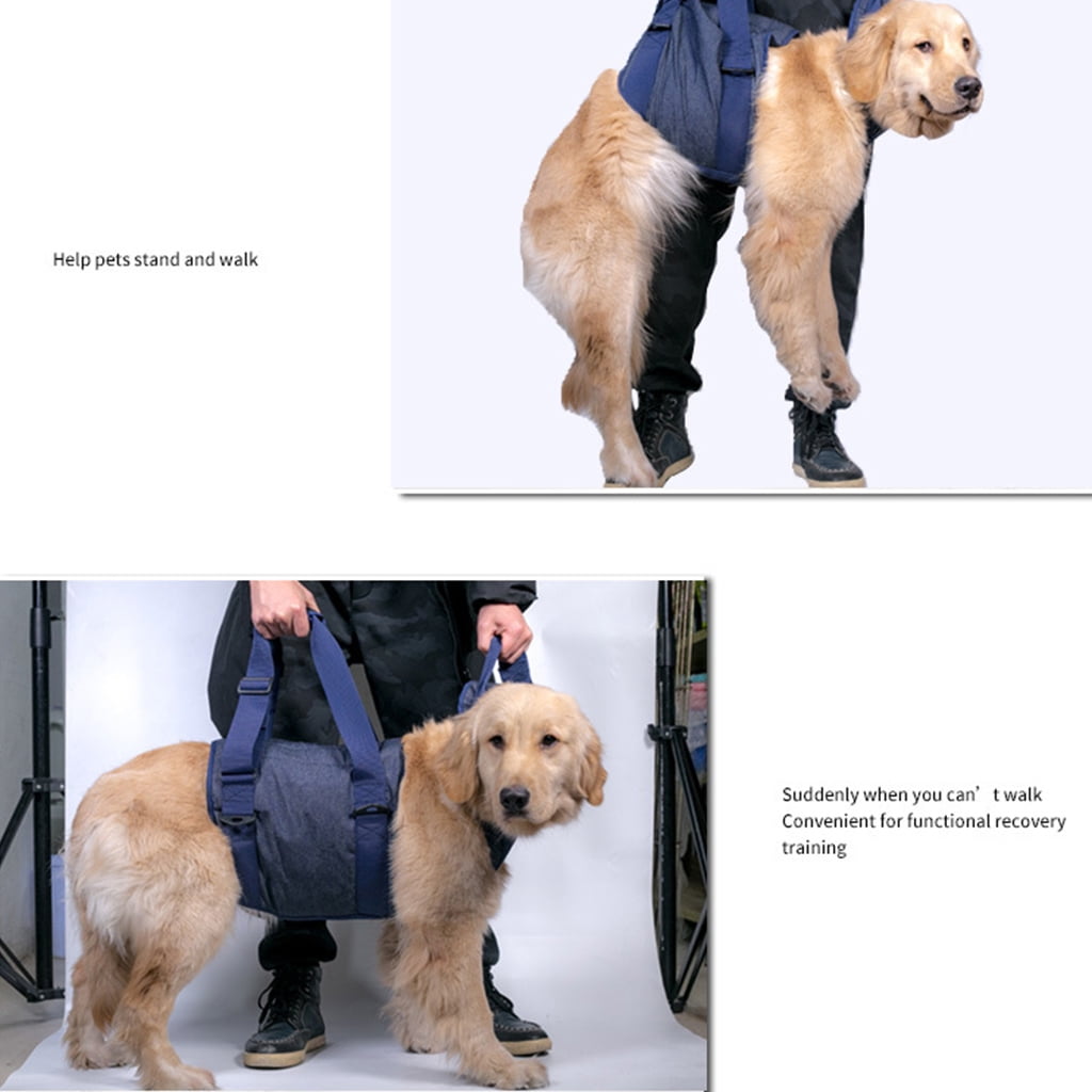 Lifting Dog Harness for Small Medium Large Dogs No Pull Assist Harness Adjustable Assist Training Supplies