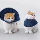thumbnail image 3 of Collar de cuello suave Pamolo para mascotas médicas, 3 of 5