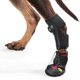 thumbnail image 1 of Corsé ortopédico para perros con carrete corrector HAGGEMI XL, 1 of 6