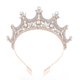 thumbnail image 1 of Zhuge Tiara de boda para novia, diadema de princesa, corona nupcial, joyería para el cabello con diamantes de imitación de cristal, decoración para novia, cumpleaños, graduación, boda (blanco), 1 of 5