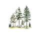 thumbnail image 3 of Adhesivos de pared con acuarela, árbol de pino, bosque, pino y conífera, 3 of 4
