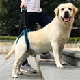 thumbnail image 6 of UOSIA Dog Lift Harness for Back Legs Soft Breathable Dog Rear Leg Sling Support, 6 of 6