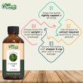 thumbnail image 3 of Organic Zing Cornmint Oil 30ml /1.01fl oz, 3 of 6