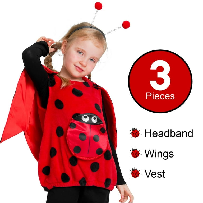 Ladybird fancy top dress costume