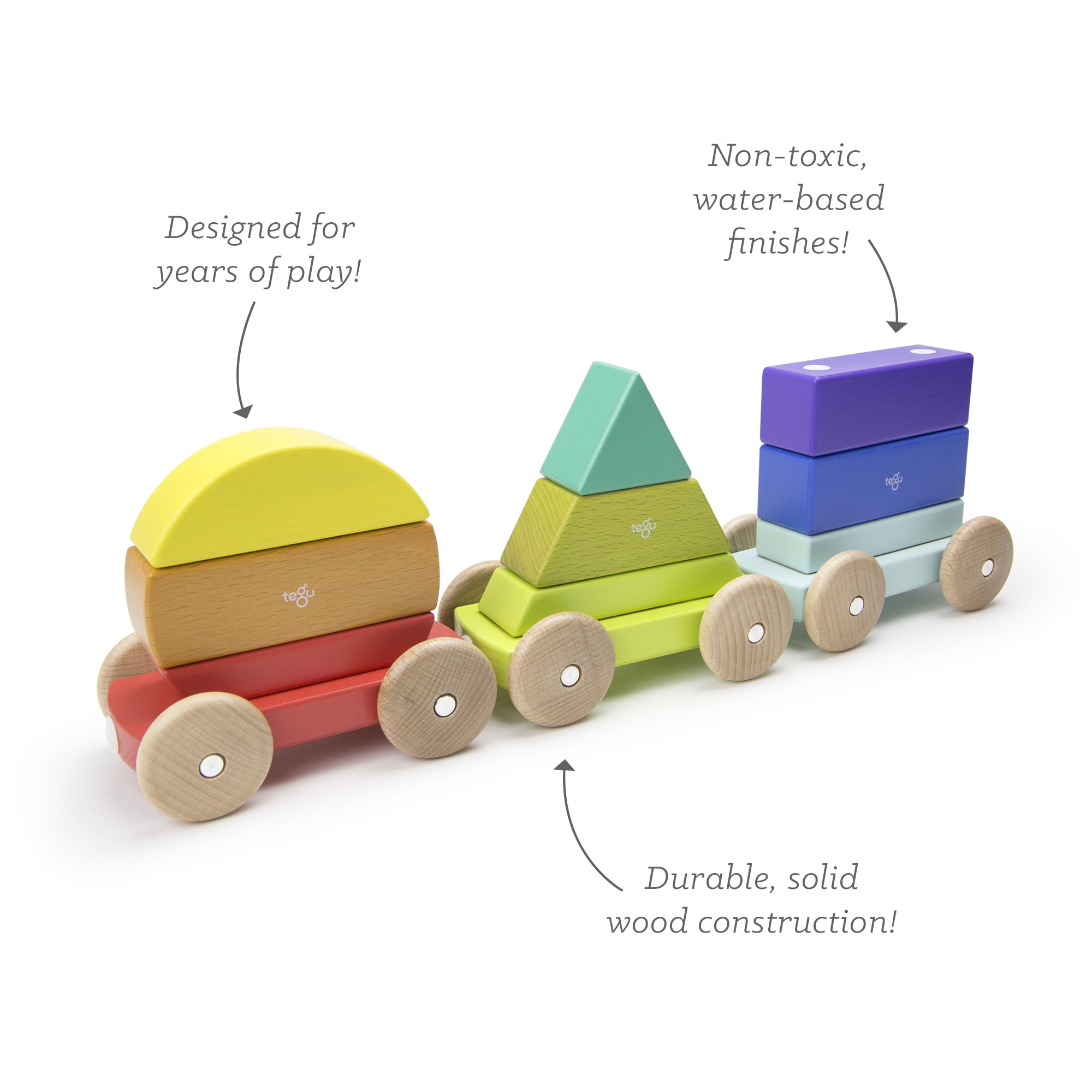 tegu car