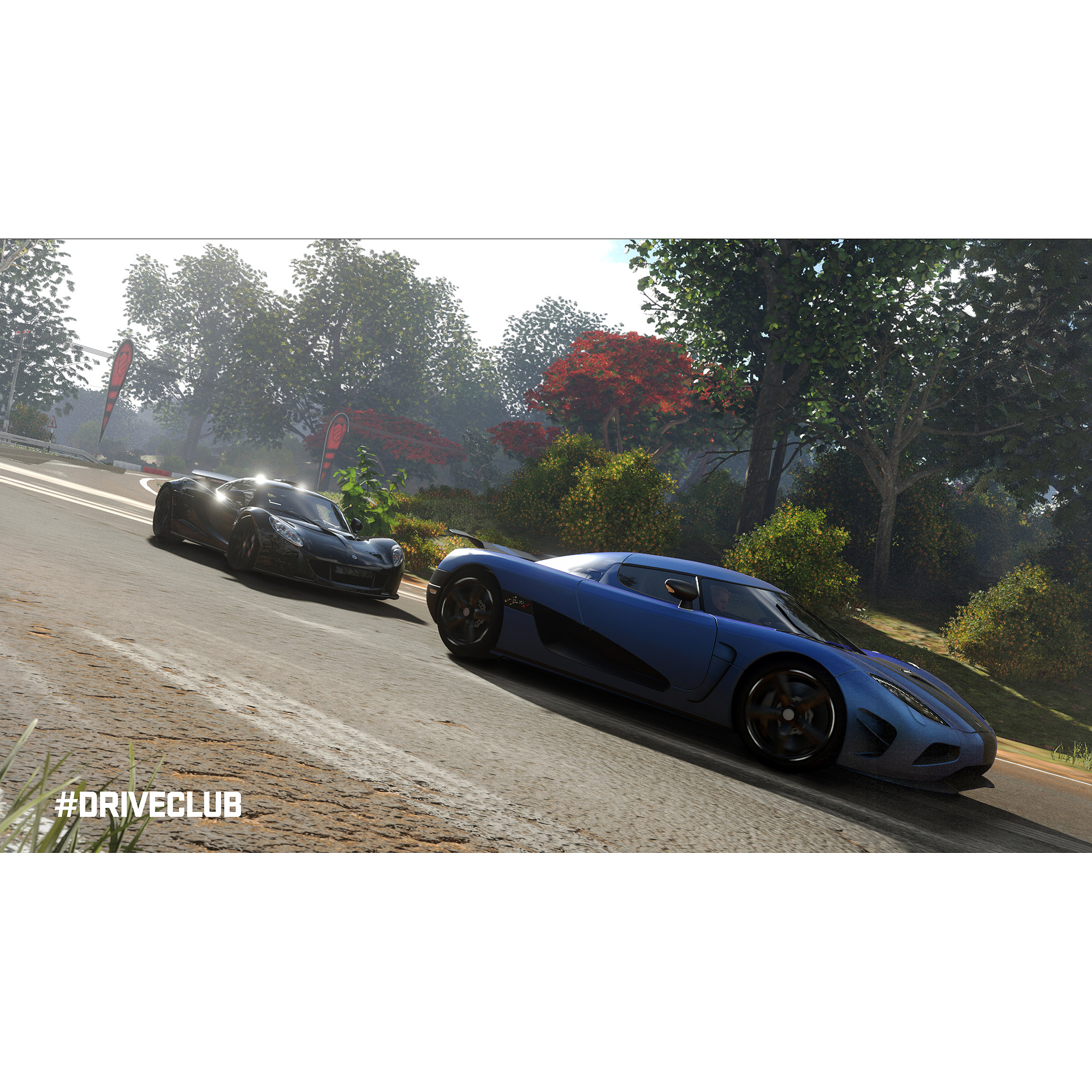 Drive Club Sony PlayStation 4 711719100140 - image 4 of 6