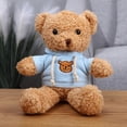 thumbnail image 1 of Osito de peluche que graba, muñeco parlante, muñeco de tela, lindo oso de abrazo, muñeco para niñas, 1 of 6