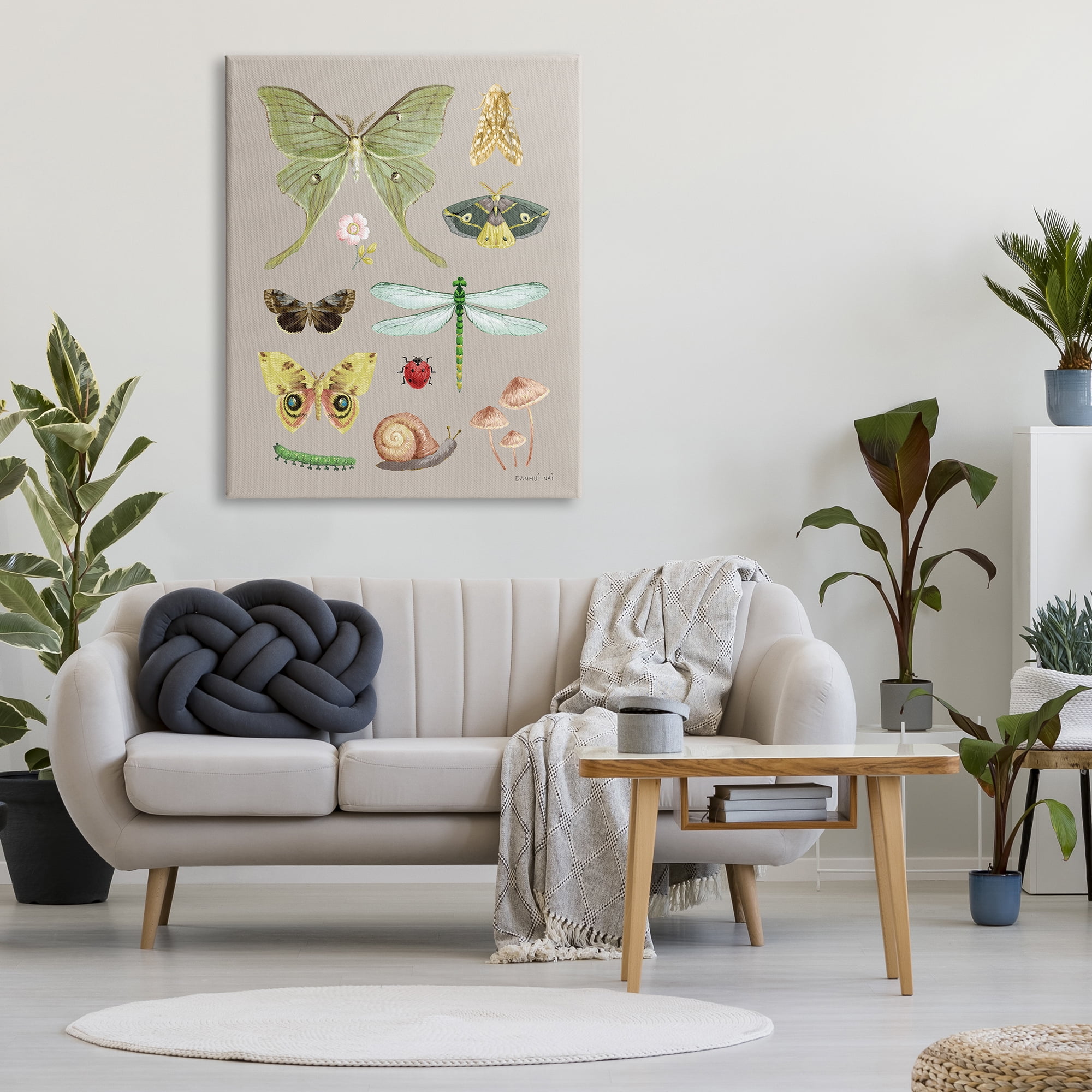 Stupell Industries Various Insect Studies Animals & Insects Painting Gallery Wrapped Canvas Print Wall Art, 36 x 48