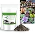 thumbnail image 6 of BANIRO 2026 New Succulent Cactus Potting Soil Mix All Purpose Quick Drain Orchid Bonsai Perlite Ready to Use Resealable Bag, 6 of 6