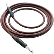 Evidence Audio The Forte Instrument Cable Straight to Straight Plugs 20 feet 6 m