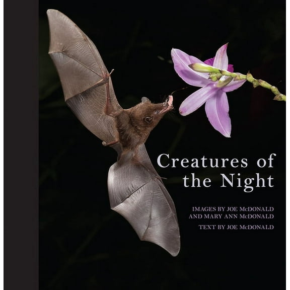 Creatures of the Night (Hardcover)