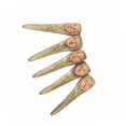 thumbnail image 2 of Bewildely 5 uds cubierta de dedo de simulación de Halloween cara de uñas accesorios de disfraz de miedo decoración de fiesta de maquillaje Kits de decoración para fiestas cara humana Bewildely HA000181-04B, 2 of 4