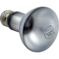 thumbnail image 3 of Hayward SPX0551Z4 Astrolite II 115V 100W Replacement Bulb, 3 of 3