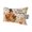 Brown, Red, variant on Turkey Thanksgiving Outdoor Pillows for Chaise Lounge Chair Waterproof Lumbar Pillows with Insert&Adjustable Strap Beach Headrest Pillow Fall Rustic Pumpkins Branches Leaves Pool Pillow 11"x16"