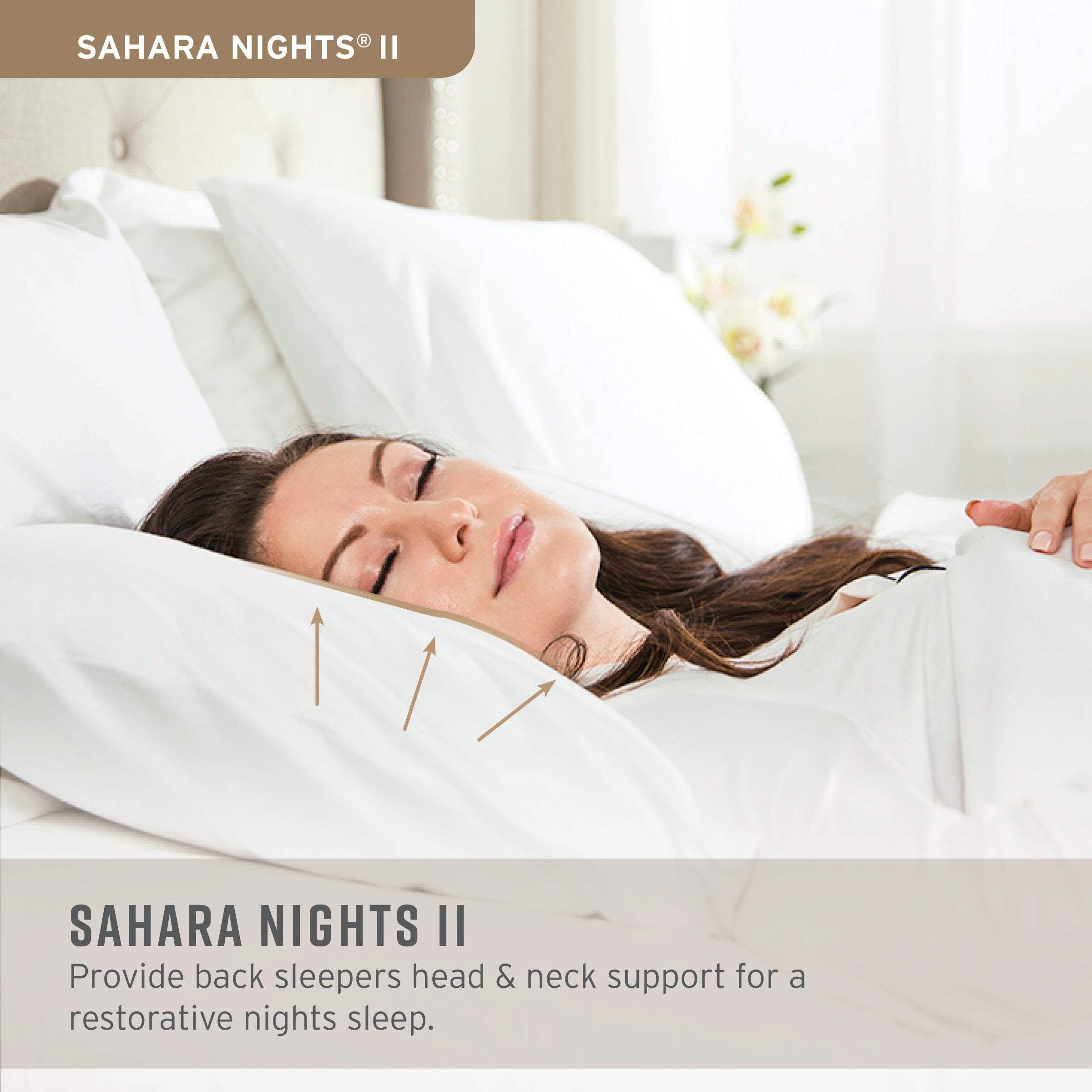 Hotel Sahara Nights II Pillow | Side Sleeper, Soft | Washable | 20x26