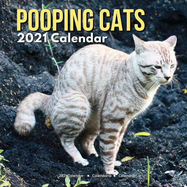 Pooping Cats Calendar 2021 : Funny Animal Lovers Owners Presents for