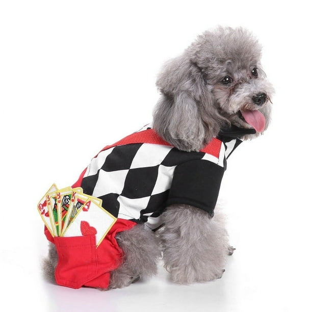 Zhuge Ropa para perros, camisa cálida y gruesa, suéter de invierno para cachorros, conjunto de suéter de punto navideño para mascotas (A19, S)