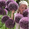 Complete Spring Flower Garden 50 Fresh Bulbs Bloom All Spring and