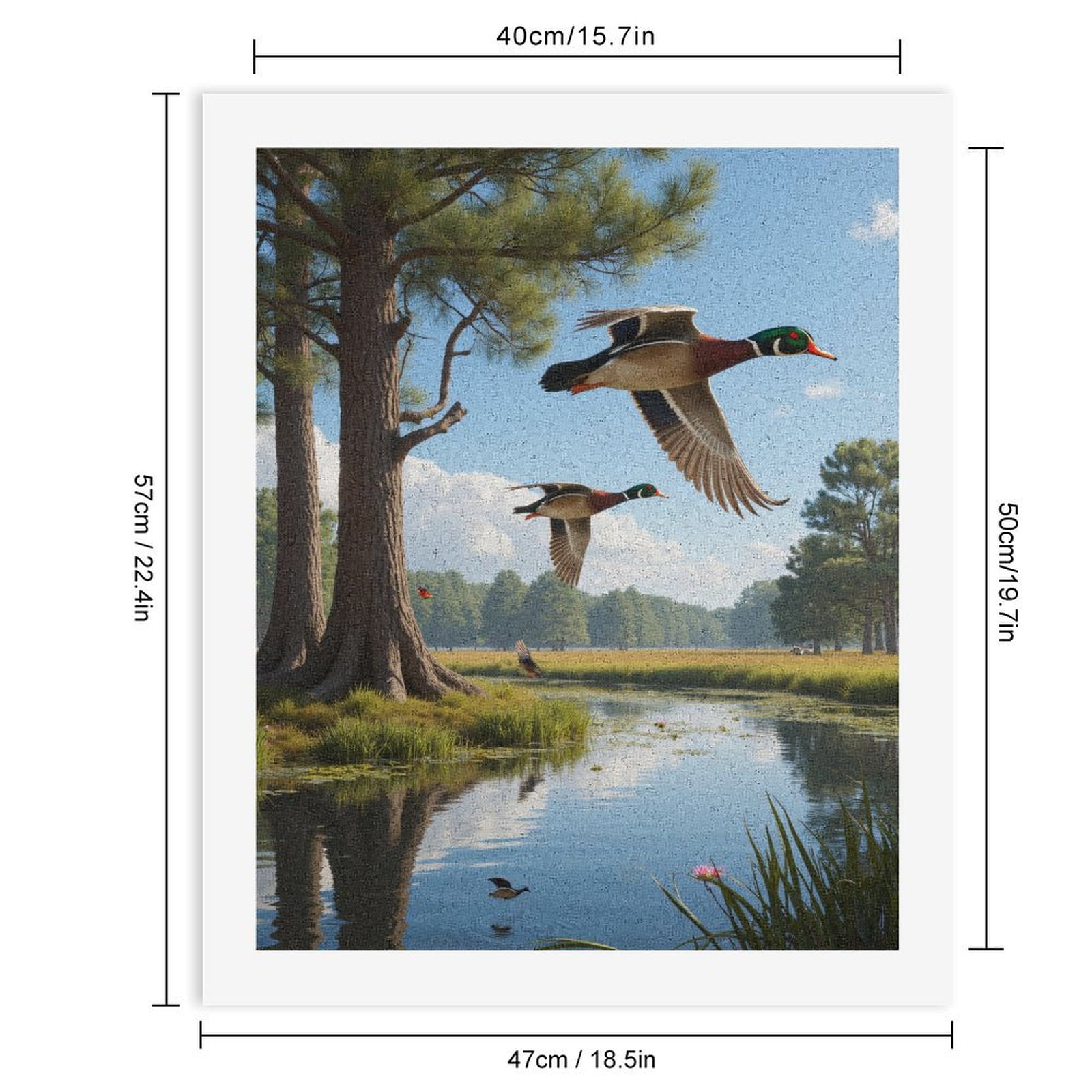 Paint by Numbers Kit for Adults, Flying Ducks Over Serene Pond Paint by Numbers, Easy Paint by Numbers Kit for Adults Beginner, DIY Adult Paint by Number Kits on Canvas, Home Decor