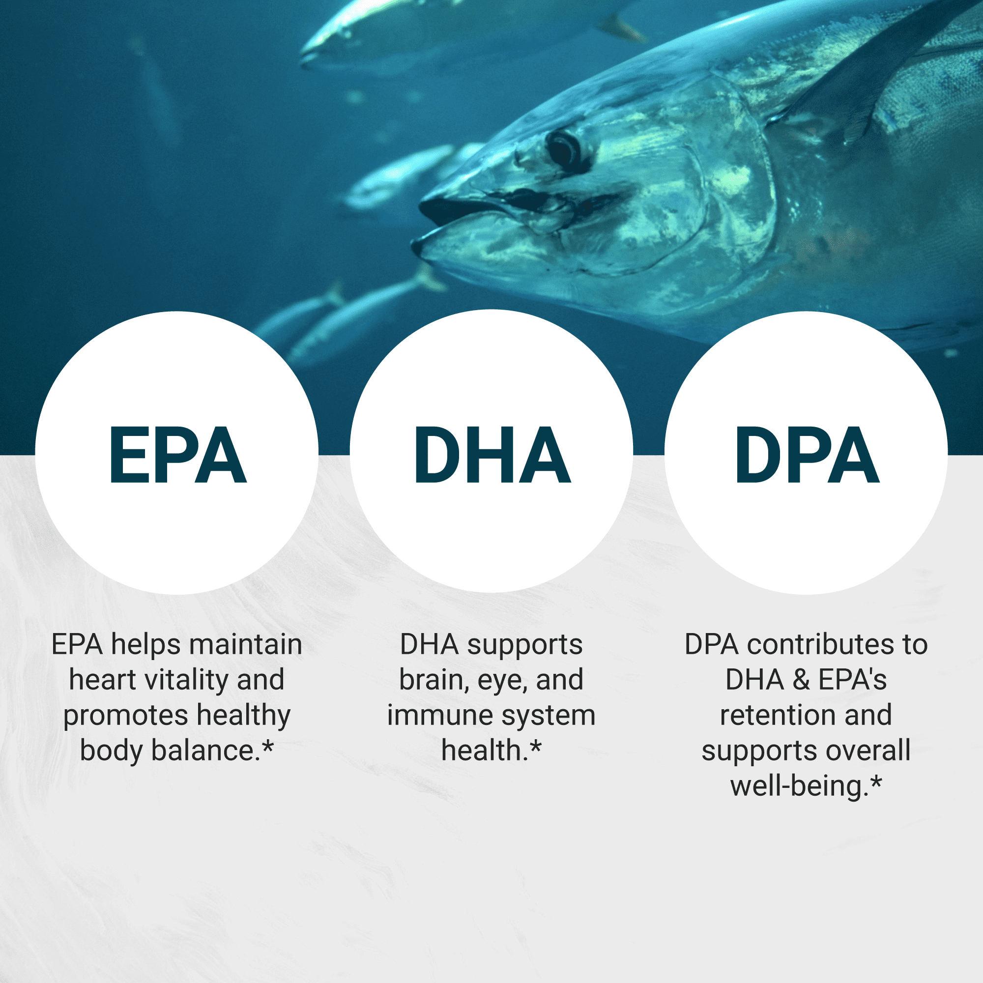 Naturalis Ultra rTG Omega 3 Fish Oil 1800mg from Wild New Zealand Tuna | IFOS Certified & Sustainably Sourced | Full Spectrum Omega3s EPA, DHA & DPA | 90 Softgels