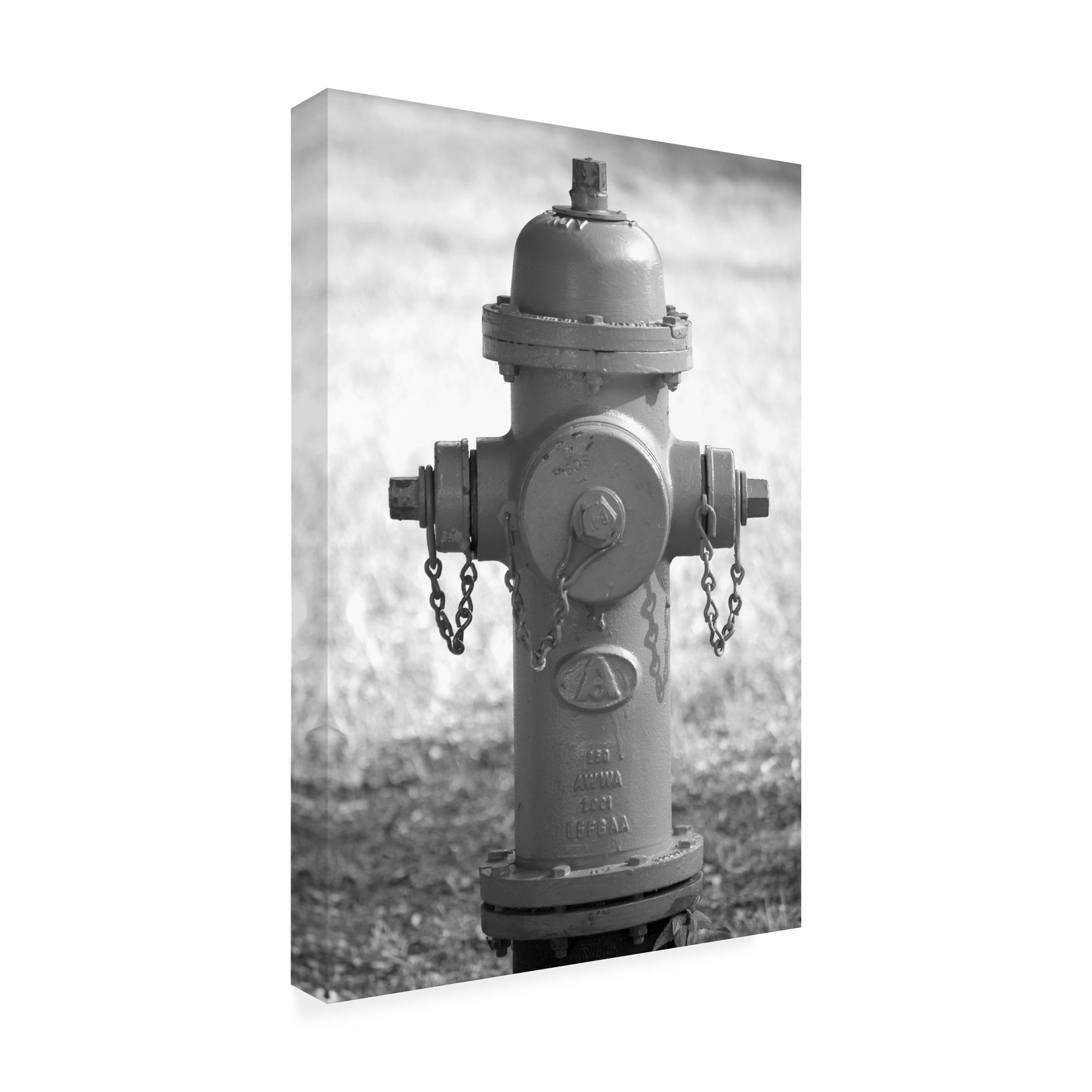 Canvas Wall Art - Lori Hutchison 'Fire Hydrant' Wall Art for Living Room, Bedroom, or Office DÃ©cor by Trademark Fine Art - 30 x 47 Inches