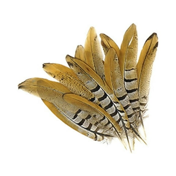 Zucker Feather Products Venery Pheasant Tails - 6 - 8" - 12 pcs - Natural