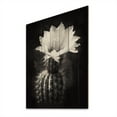 thumbnail image 2 of Designart "Black White Cactus Minimal Collage Monochromatic Succulents" Floral Print on Natural Pine Wood, 2 of 5