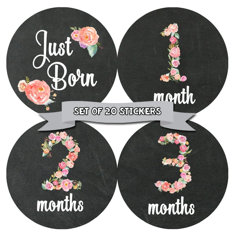 Baby month stickers girl cheap