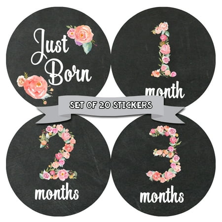 Baby Monthly Milestone Stickers - First Year Set of Baby Girl Month Stickers for Photo Keepsakes - Shower Gift - Set of