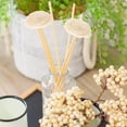 thumbnail image 3 of VERDANVERSE 3Pack Aromatherapy Sticks Emulation Aromatherapy Plant Cylindrical Rattan Home Decor, 3 of 4