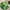 A, variant on TERGAYEE Rugs for Living Room Circular Green Plant Moss Rug Imitation Wool Carpet Comfortable Absorbent Water Non-Slip Bathroom Carpet Machine Washable Easy to Clean 31.49''