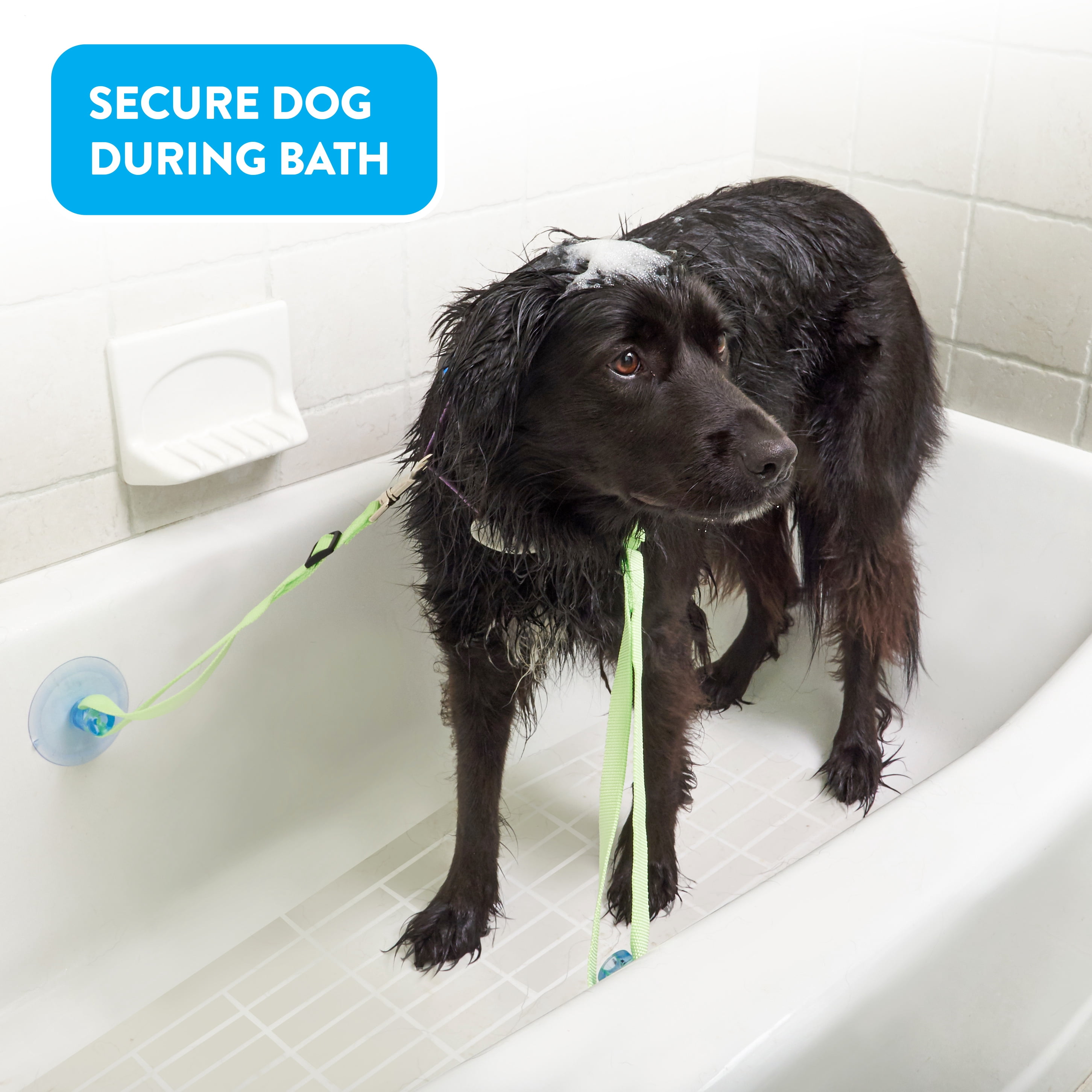 Rinse Ace Safe & Secure Dog and Pet Bathing Tethers, 2 Pack