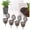 a, variant on Bonsai Fertilizer Baskets Slow Release Nutrient Control Pods for Potted Orchids and Indoor Plants