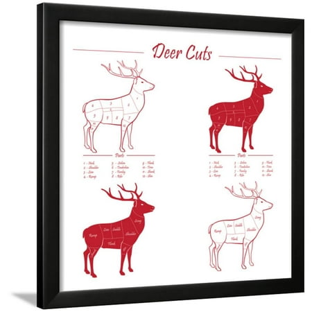 Deer Meat Cut Scheme Framed Print Wall Art By