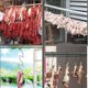 thumbnail image 5 of Gancho para carne de acero inoxidable, gancho de pared en forma de S, 5 of 5