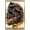 Gold Framed Version, variant on Jurassic World: Dominion - Giga Vs T. Rex Wall Poster, 22.375" x 34" Framed