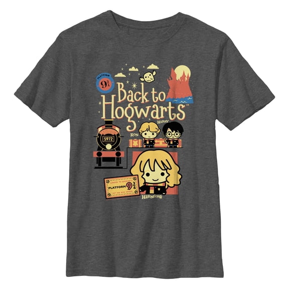 Boys' Husky Harry Potter Back to Hogwarts Cartoon Graphic Tee Charcoal Heather Large