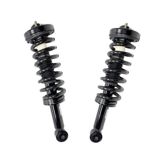 Front Strut and Coil Spring Assembly Set of 2 - Compatible with 2009 - 2013 Ford F-150 4WD (Excludes Raptor Model) 2010 2011 2012